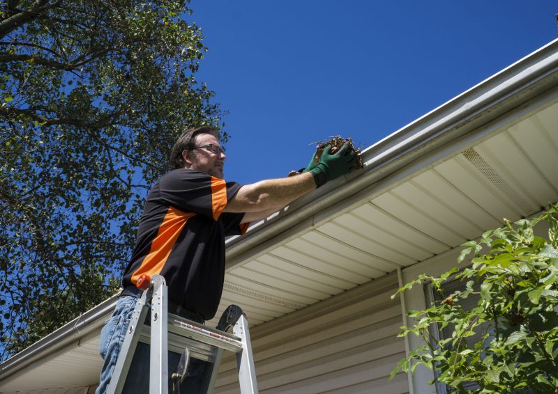 Gutter Leaf Clearing in Bergen County, NJ