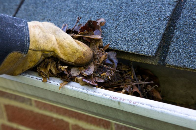 Clogged Gutter Clearing in Richmond, VA