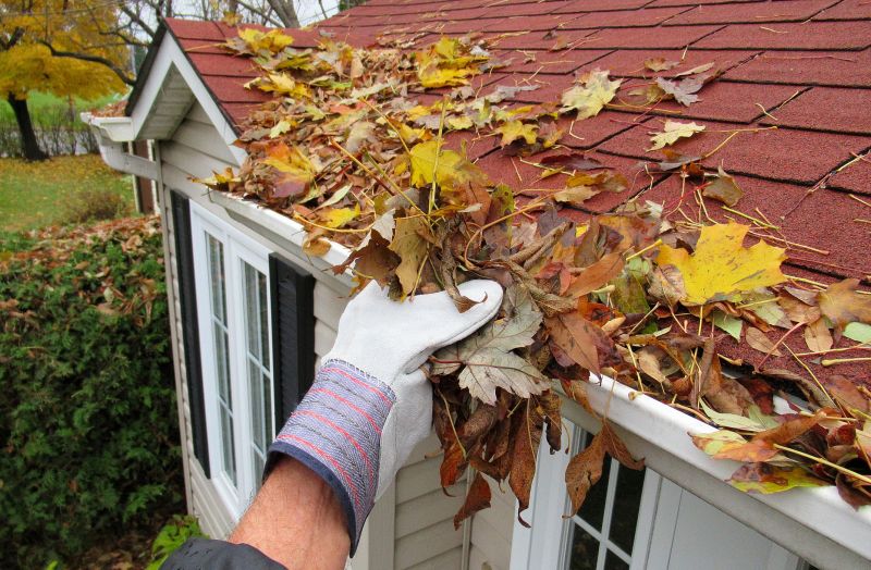 Downspout Cleaning in Long Island, NY