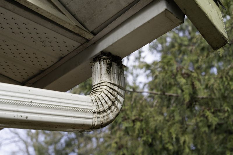 Downspout Snaking in Long Island, NY