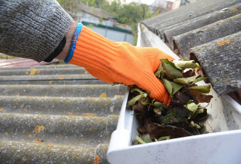Gutter Cleaning in Fredericksburg, VA