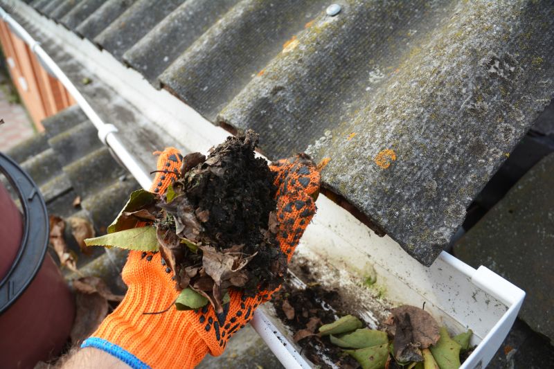 Gutter Leaf Clearing in Richmond, VA