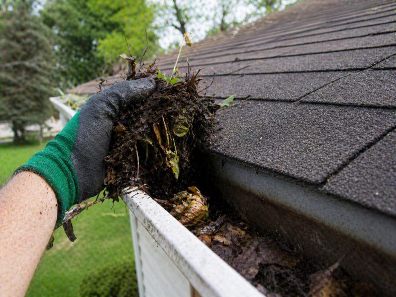 Gutter Leaf Clearing in Annapolis, MD