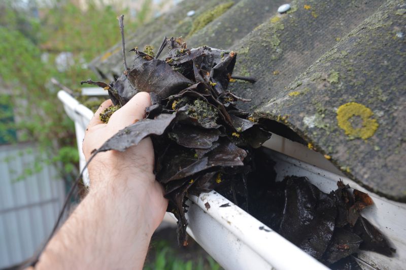 Gutter Leaves Removal in Fredericksburg, VA