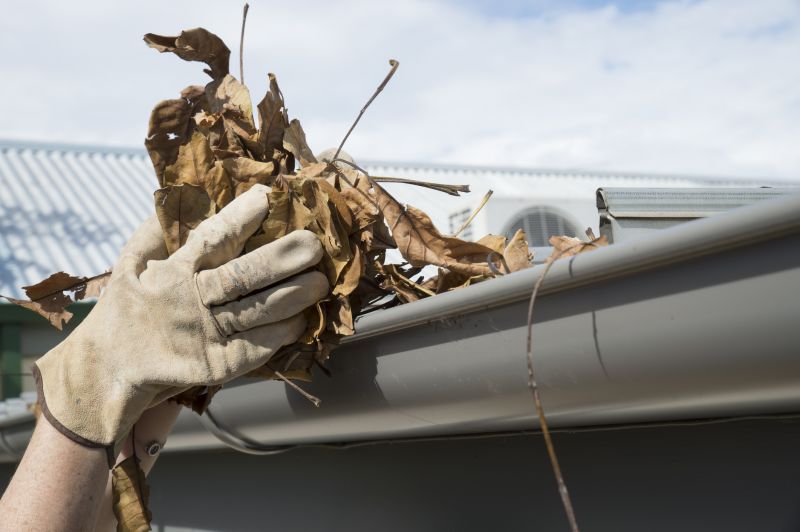 Gutter Leaves Removal in Longmont, CO