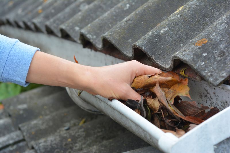 Gutter Leaves Removal in Longmont, CO