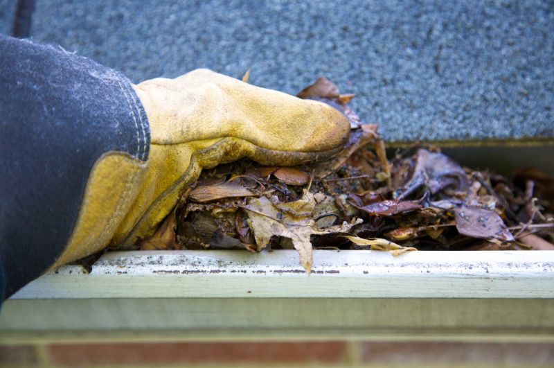 Gutter Pine Needle Removal in Morris County, NJ