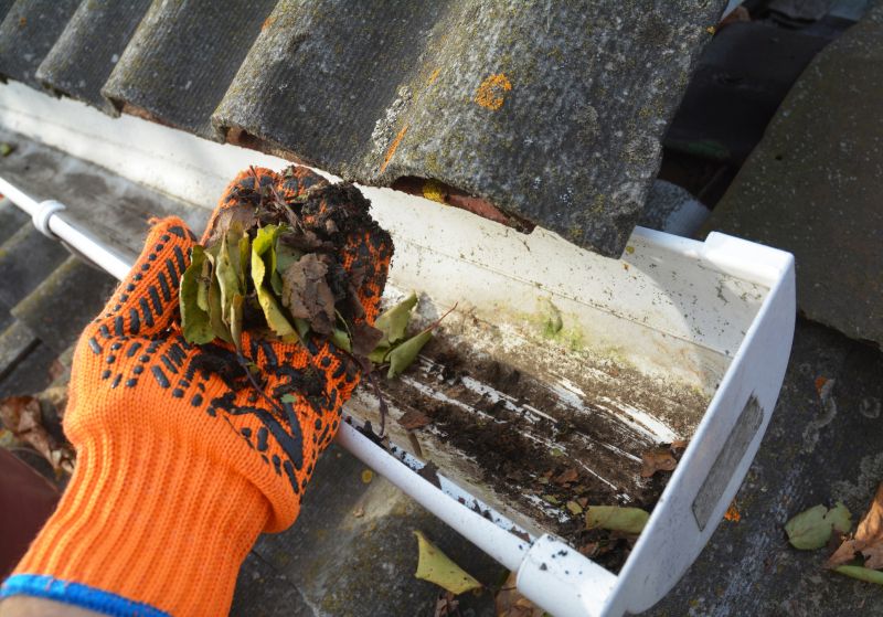 Rain Gutter Clearing in Monmouth County, NJ