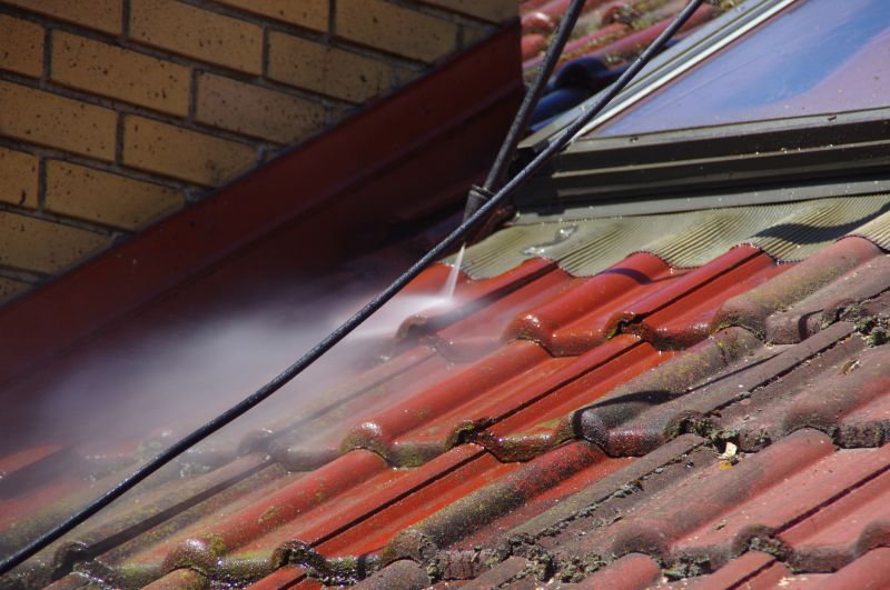Roof Moss Removal in Vancouver, WA
